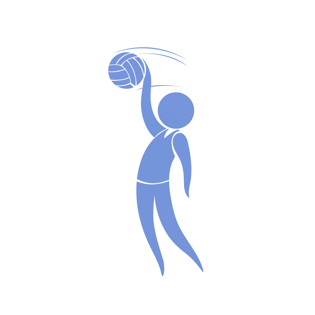 Voleibol Cancha