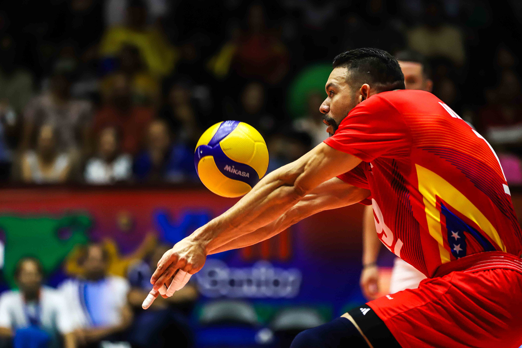 Voleibol por oro en la Copa Panamericana
