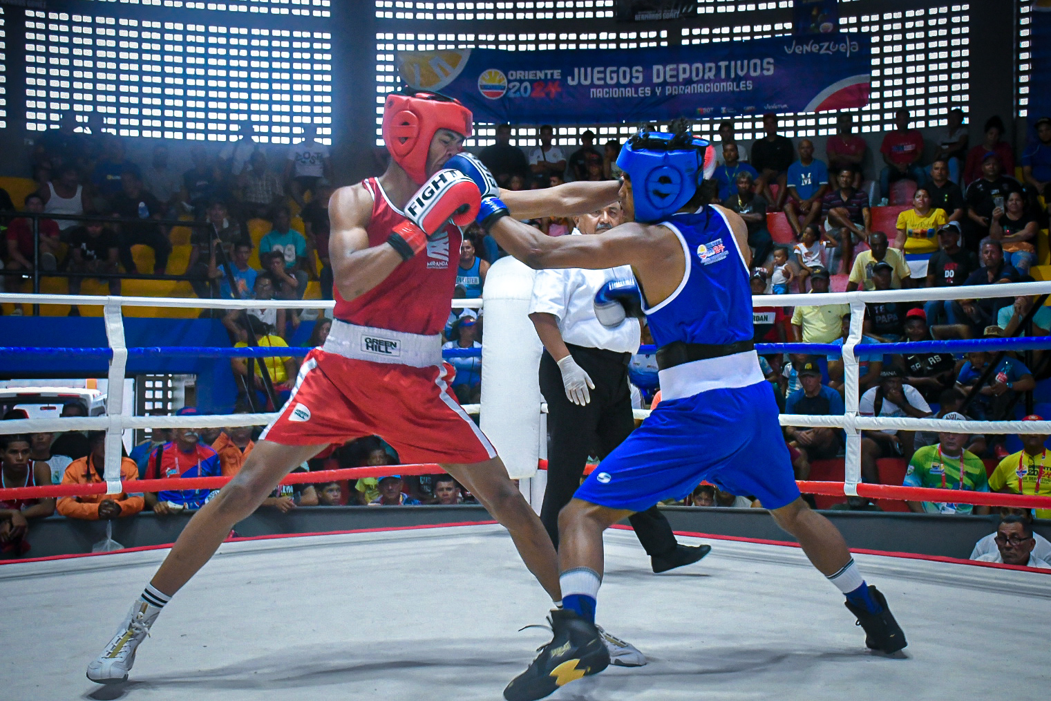 Este 18 de enero Venezuela celebra el Día Nacional del Boxeo