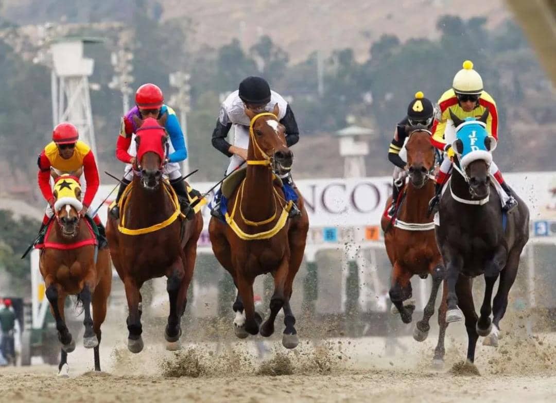 Año 2025 del Hipismo Venezolano comienza en Valencia