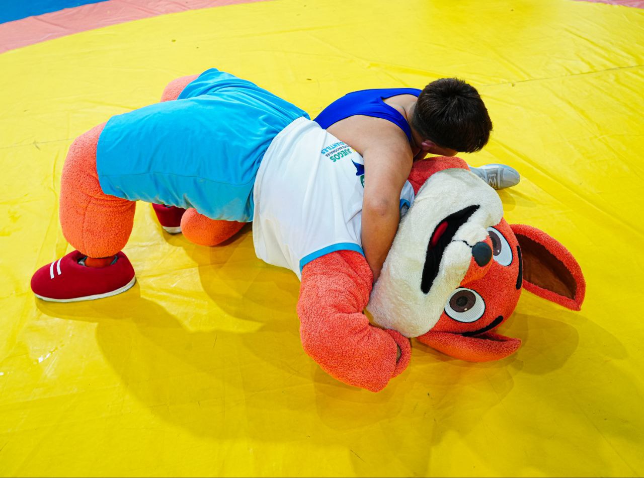 Lucha a la arena competitiva en Falcón