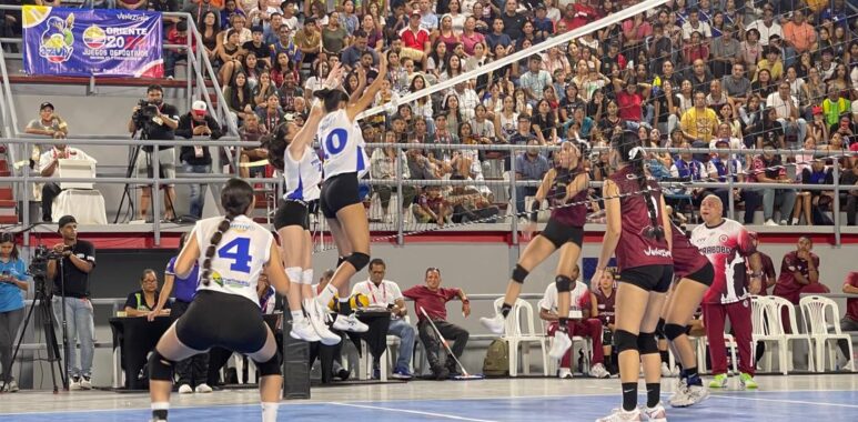 Voleibol a la caza de talentos sub-17