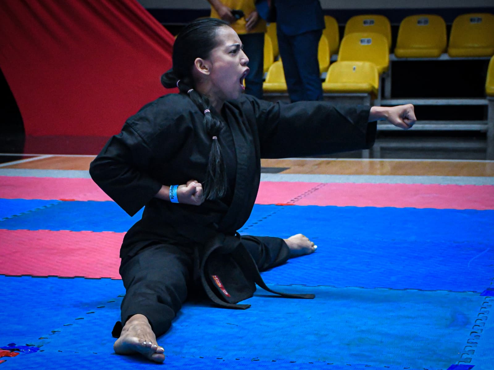 Kenpo toma el Domo José María Vargas