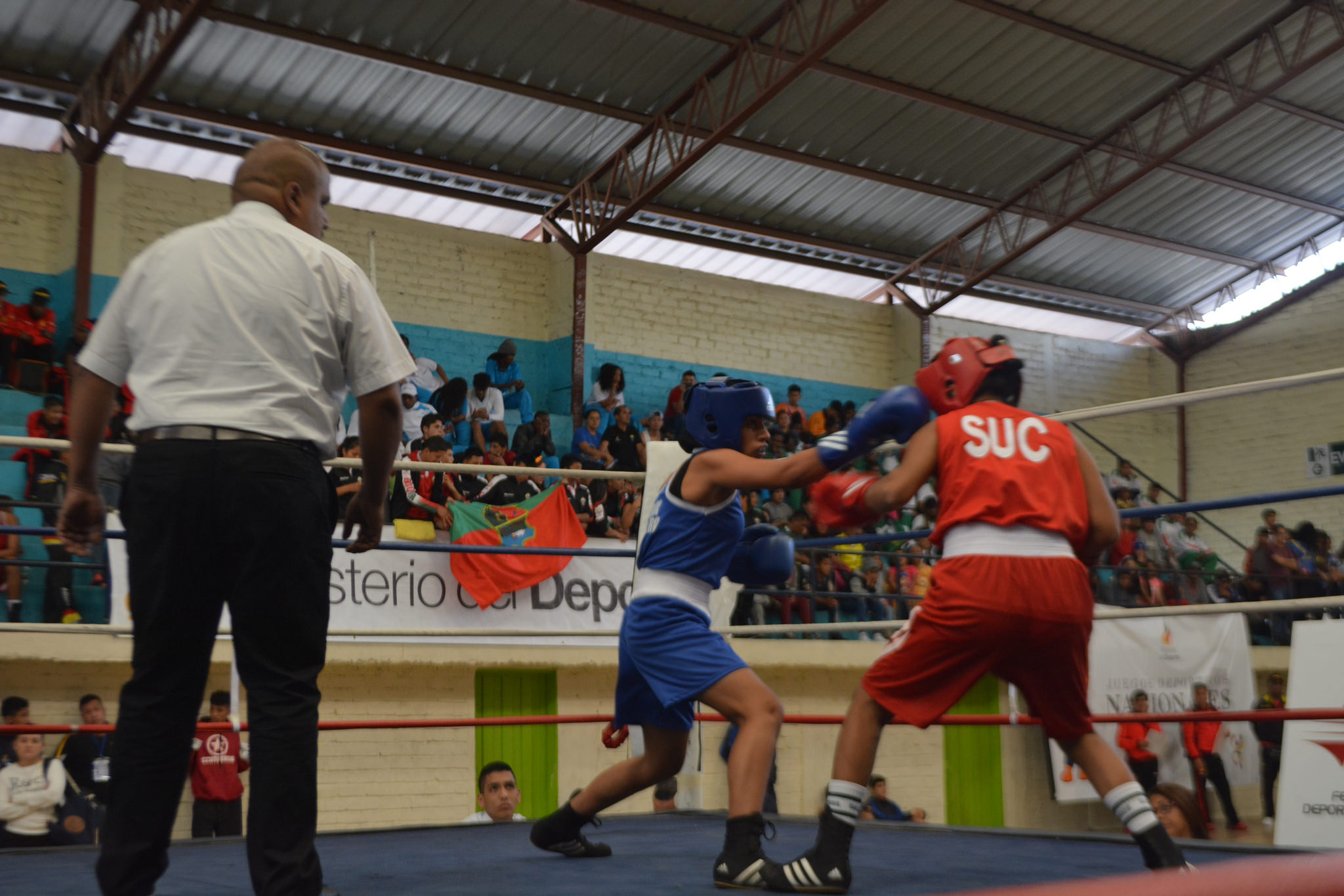 Caracas campeón nacional de boxeo juvenil