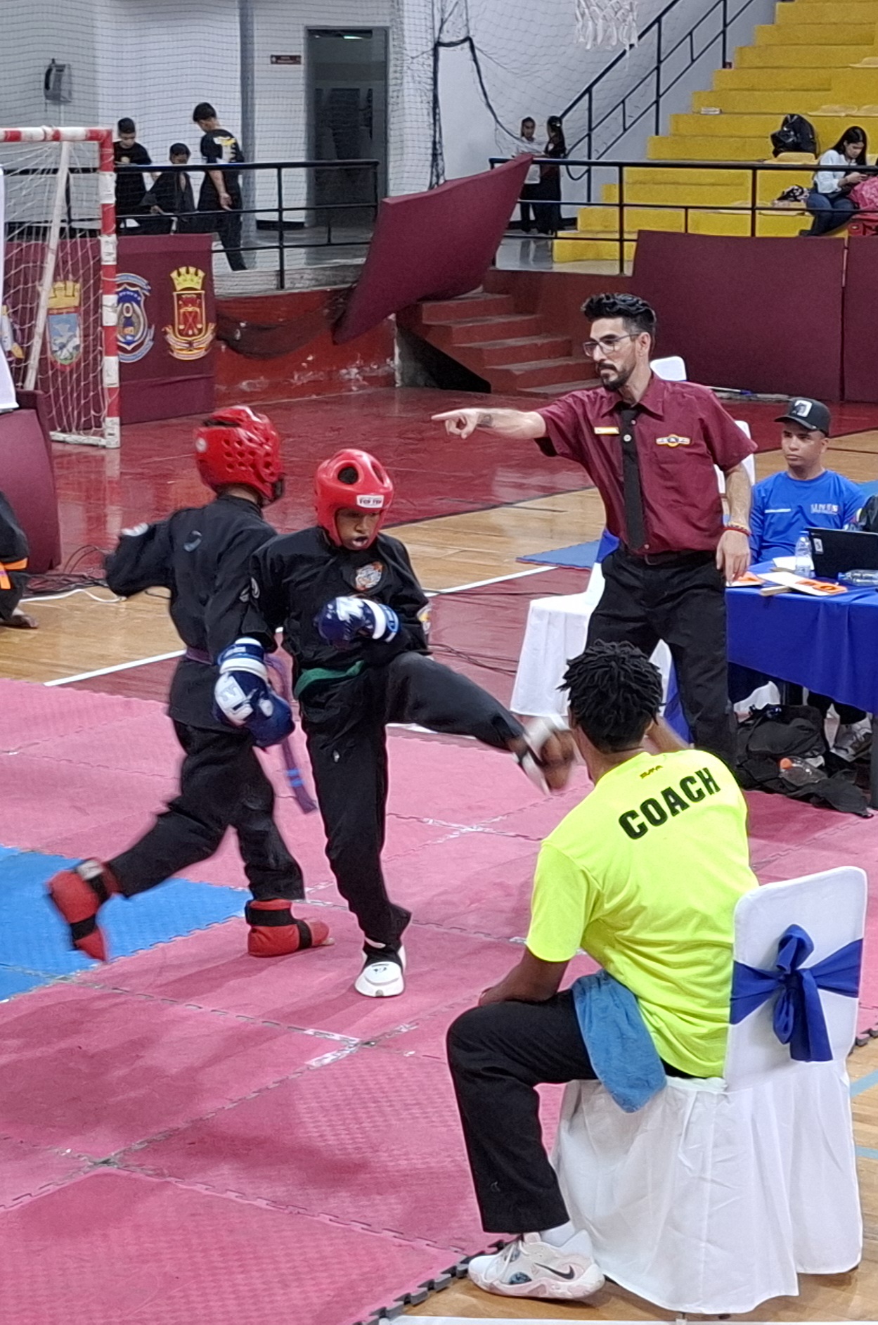 Aragua conquista el III campeonato nacional de Kenpo